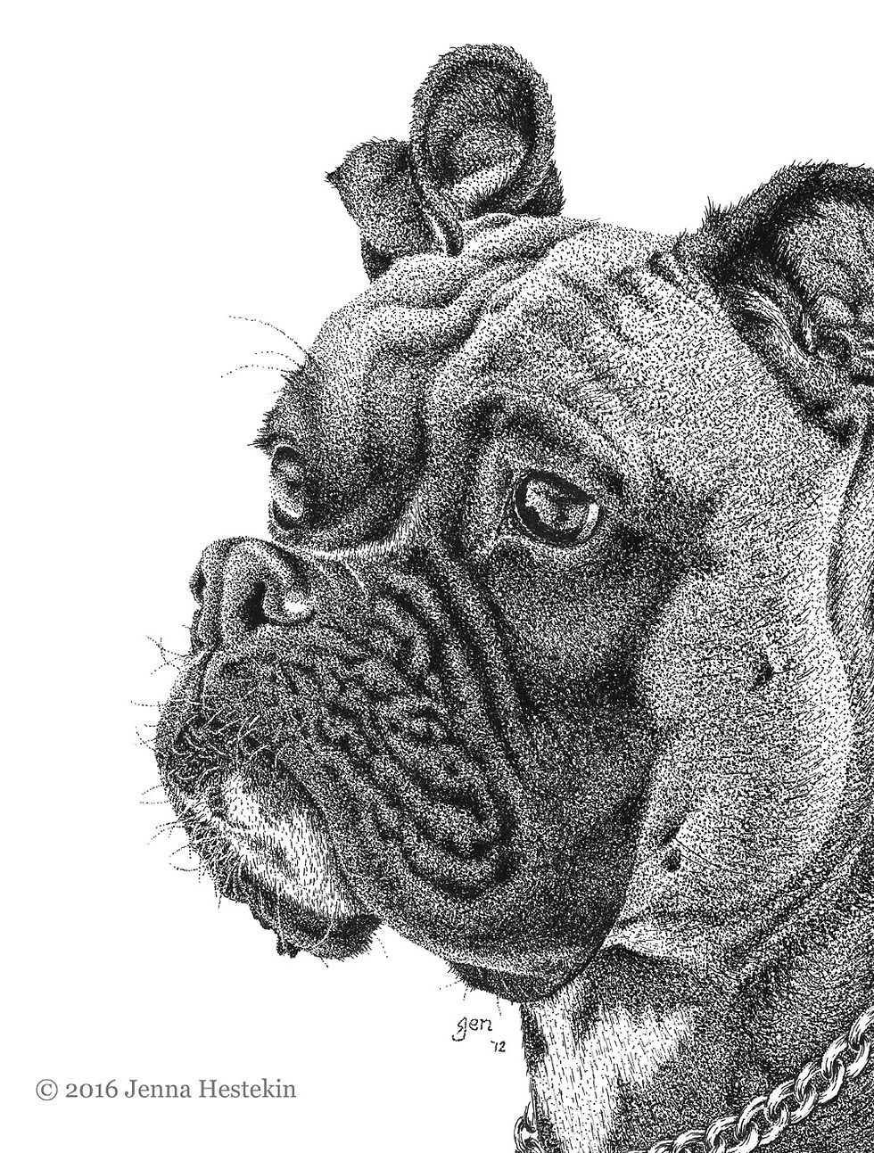 Boxer