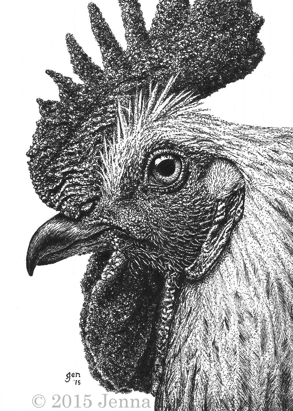 Rooster