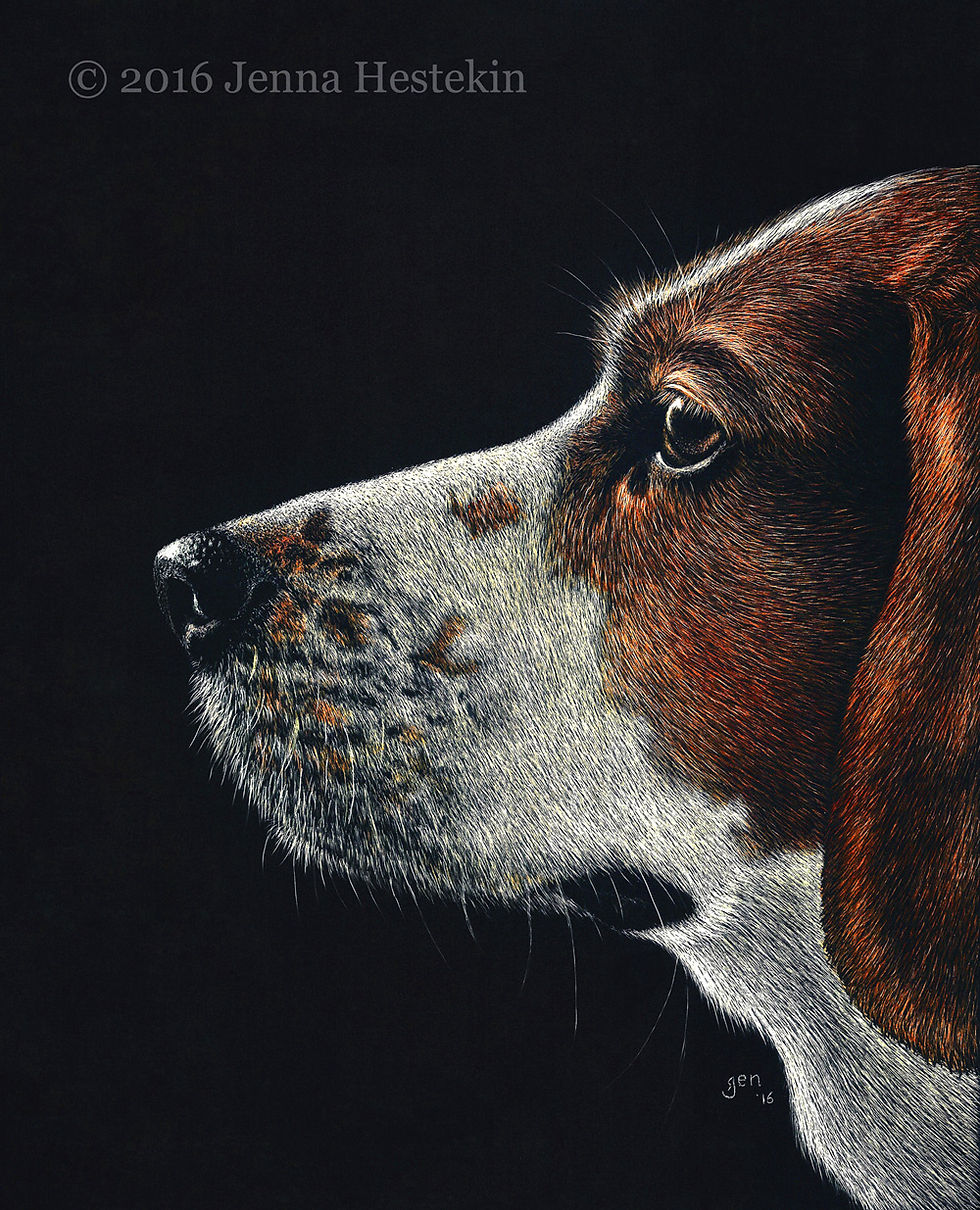 Beagle