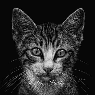 kitten scratchboard pet portrait black and white art pretty kitty face