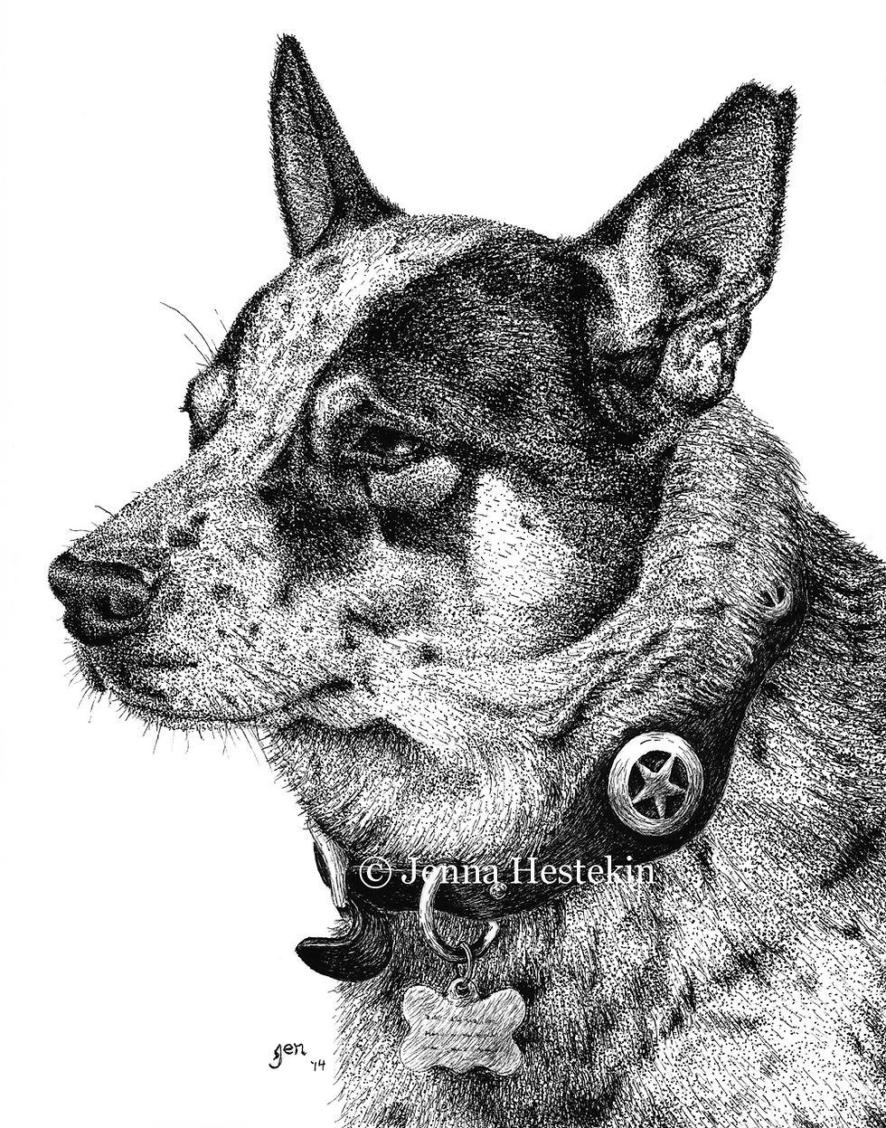 Texas Heeler