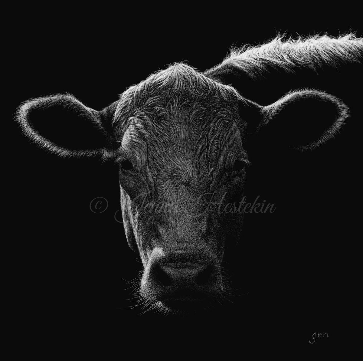 Equinox Scratchboard Fine Art Print and Notecards