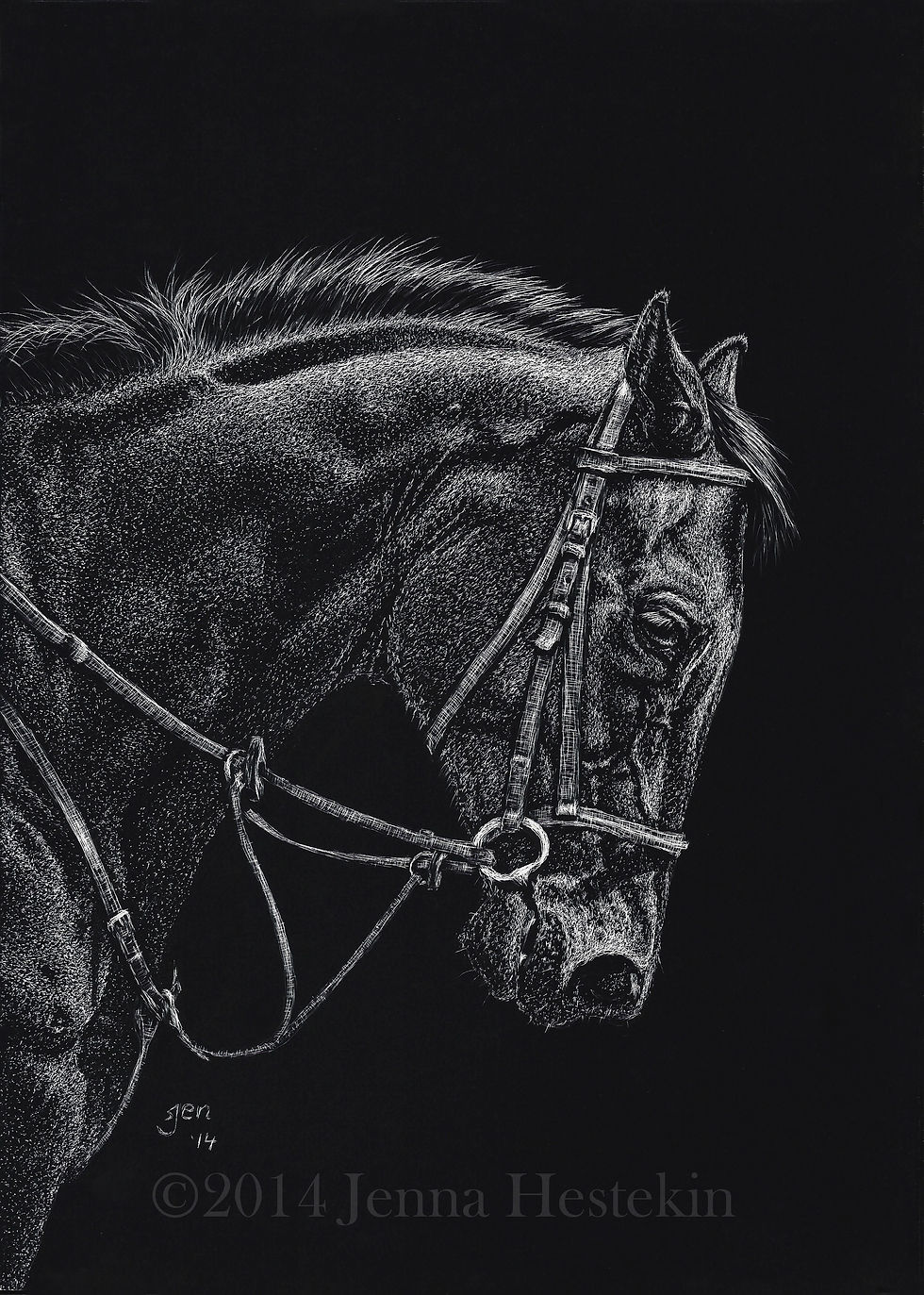 Thoroughbred
