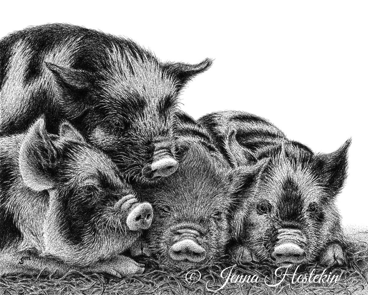 Piglets Fine Art Print or Notecards