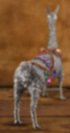 Thumbnail: Llama Linda