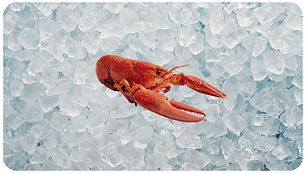 Simple Corporate Business Card (19).png