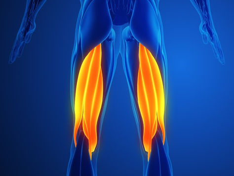 Reha-Training nach Hamstring-Verletzung [Video]