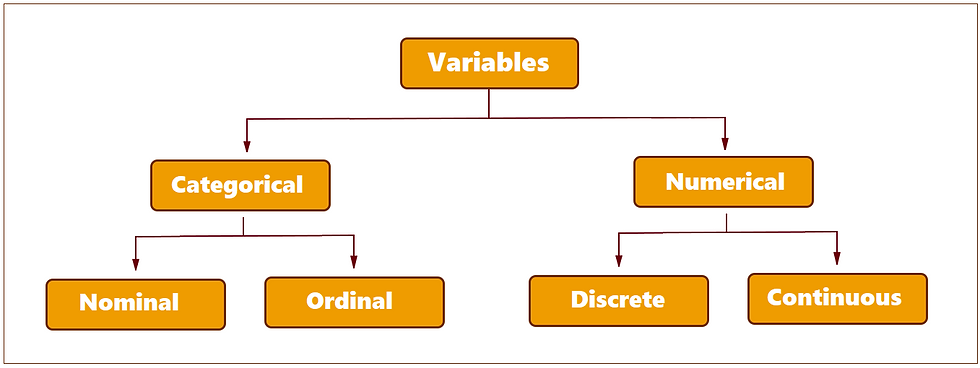 Types of variables; Variables in Statistics
