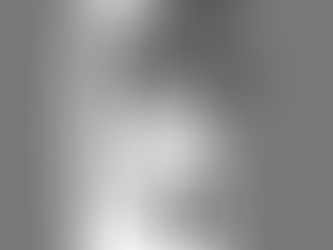 Transatlantic Arts Exchange