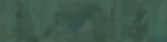 [Banner] - Testi.jpg