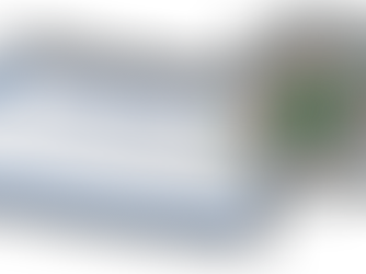 Ethius Global Impact: Auszeichnung mit dem österreichischem Umweltzeichen UZ49 