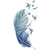 feather3_edited.png