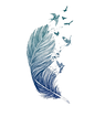 feather3_edited.png