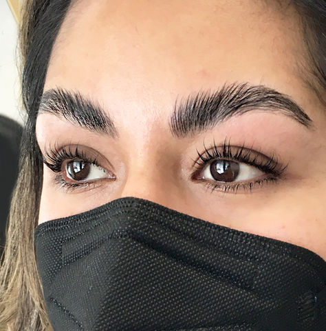 best lash lift and brow lamination santa monica