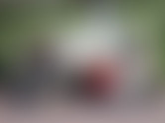 第42回水戸まちなかデザイン会議を開催しました