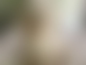 White dog, Fluffy, sitting on bed.