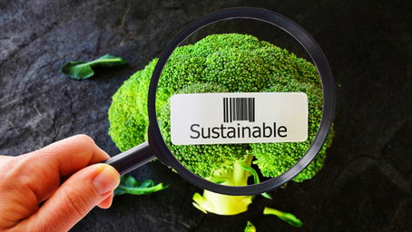 The Quest for Sustainable Food