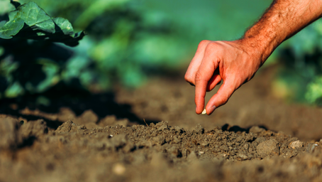 Danone to expand investment in pioneering US regenerative agriculture programme