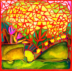 Red and Green Asymmetry Landscape