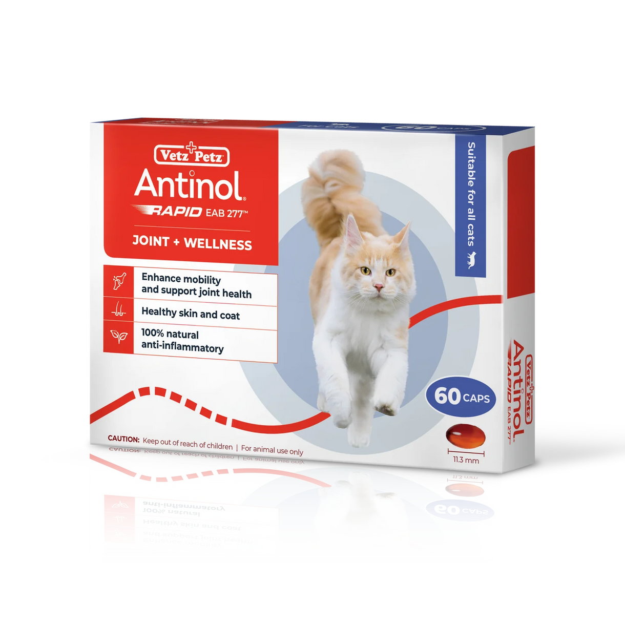 Antinol Rapid 速效版 特強貓用關節丸