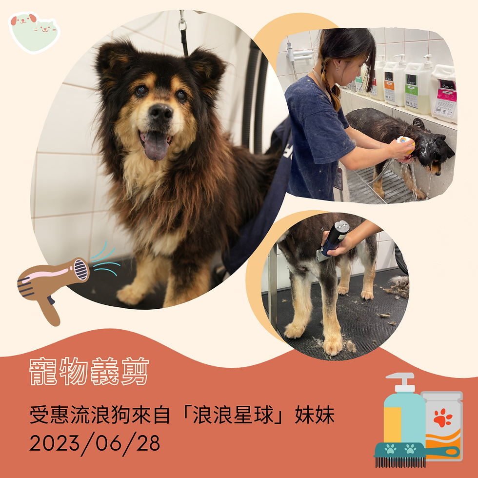 寵物義剪 Hooment WeCare