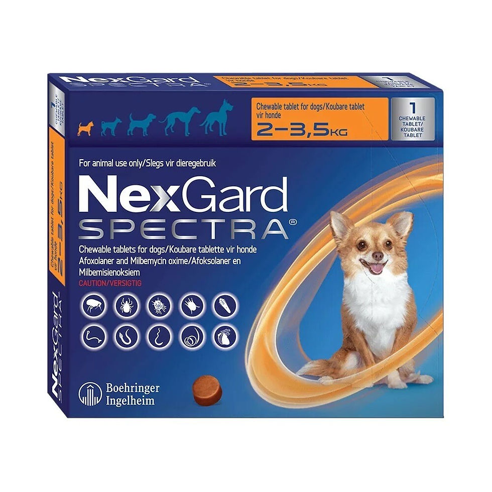 NexGard SPECTRA 迷你犬 2-3.5公斤