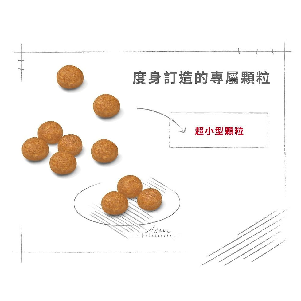 縮圖：ROYAL CANIN 超小型成犬營養配方