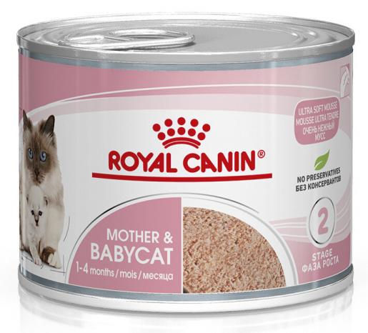 ROYAL CANIN 離乳貓及母貓營養主食罐頭(MOUSSE)