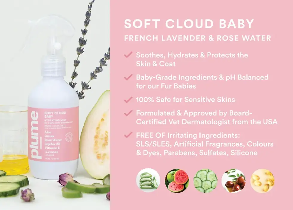 Thumbnail: Plume Care 天然免沖洗寵物護毛保濕噴霧（薰衣草與玫瑰水