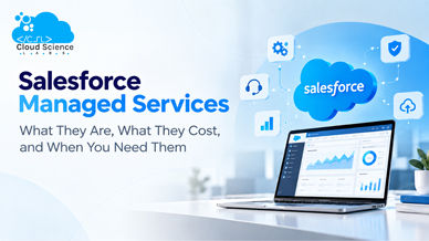 Salesforce Managed Services