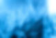 plumes bleues
