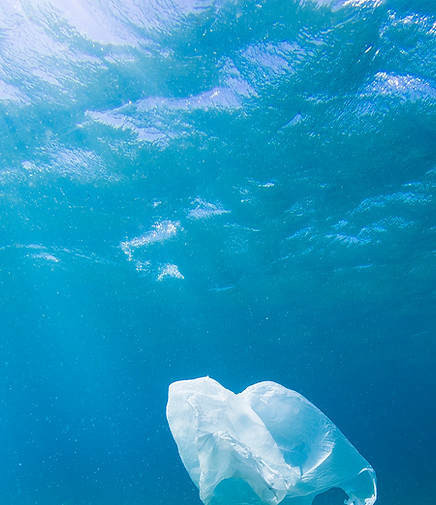 Plastic Bag in Ocean