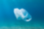 plastic pollution