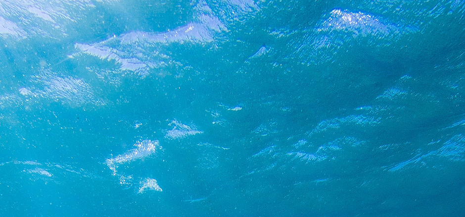 Plastic Bag in Ocean