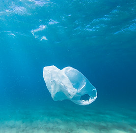 Plastic Bag in Ocean