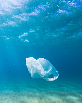 Plastic Bag in Ocean