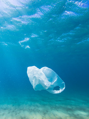 Plastic Bag in Ocean