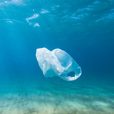 Plastic Bag in Ocean