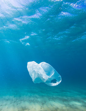 Saco de plástico no oceano