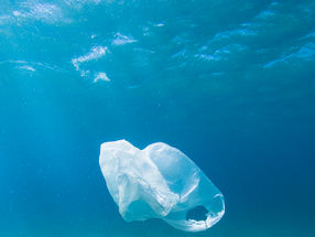 VCHT Green Policy