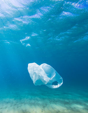 Sac en plastique dans l'océan