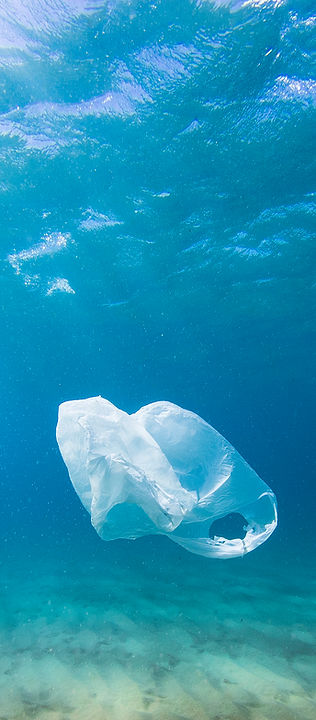 Plastic Bag in Ocean