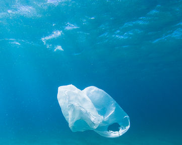Plastic Bag in Ocean