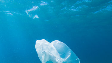 5 things you need to know about plastic.