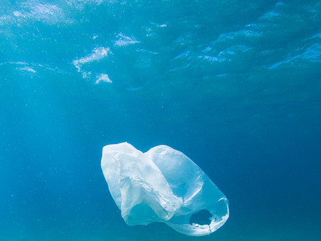 The Plastic-Free Challenge