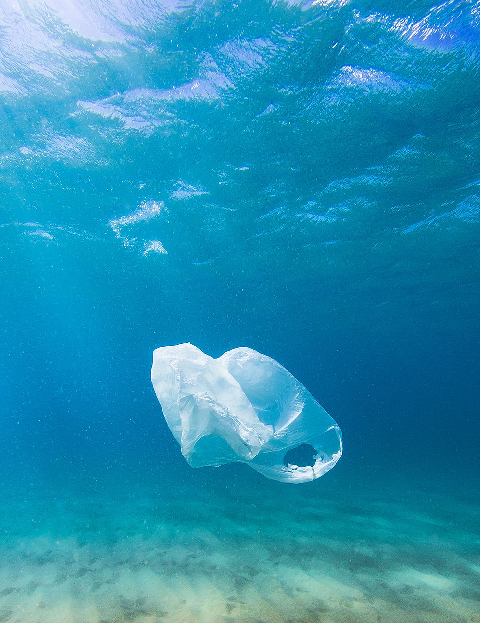 Floating Plastic Bag