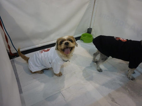 160325 Pet Expo 2016 (25-27 Mar)