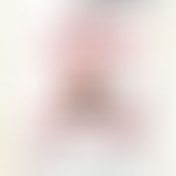 161204 Paws for a Cause Christmas Party 2016 (4 Dec)