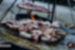 Luppoloinrock-8