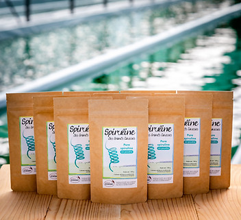 Poudre de spiruline 100g bio